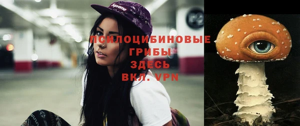 винт Новодвинск
