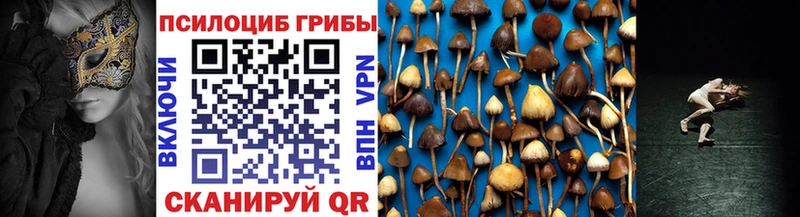 цена наркотик  Юрга  Псилоцибиновые грибы Psilocybine cubensis 